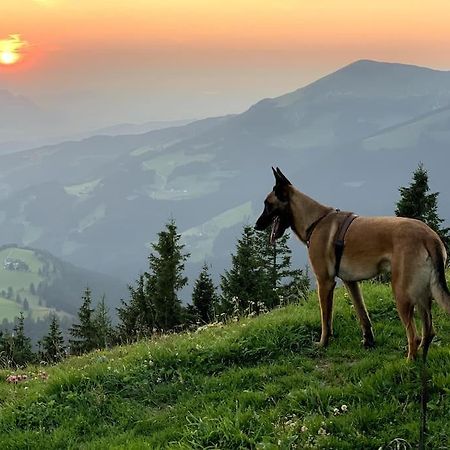 Appartamento Urlaub Mit Hund Im Salzburger Land Wegscheid Esterno foto