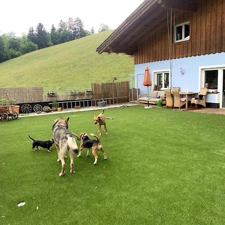 Appartamento Urlaub Mit Hund Im Salzburger Land Wegscheid Esterno foto