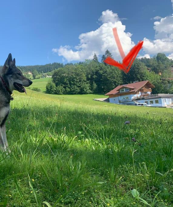 Appartamento Urlaub Mit Hund Im Salzburger Land Wegscheid Esterno foto