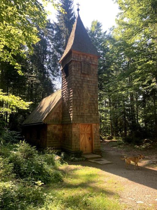 Appartamento Urlaub Mit Hund Im Salzburger Land Wegscheid Esterno foto