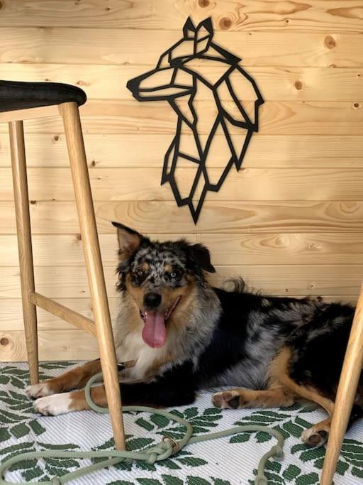 Appartamento Urlaub Mit Hund Im Salzburger Land Wegscheid Esterno foto